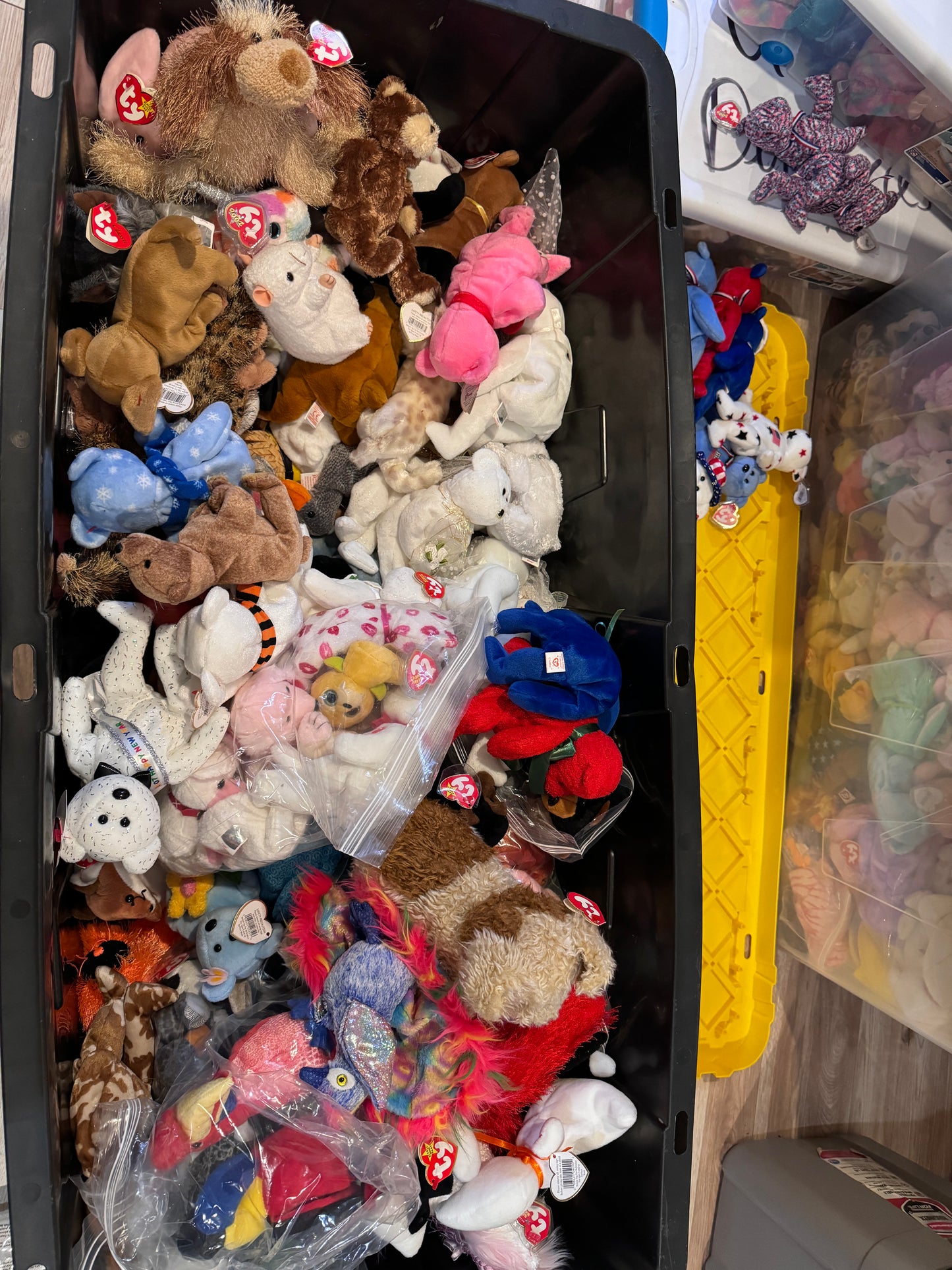 Lot of 100 random beanies