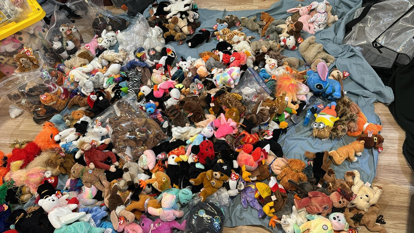 Lot of 100 random beanies