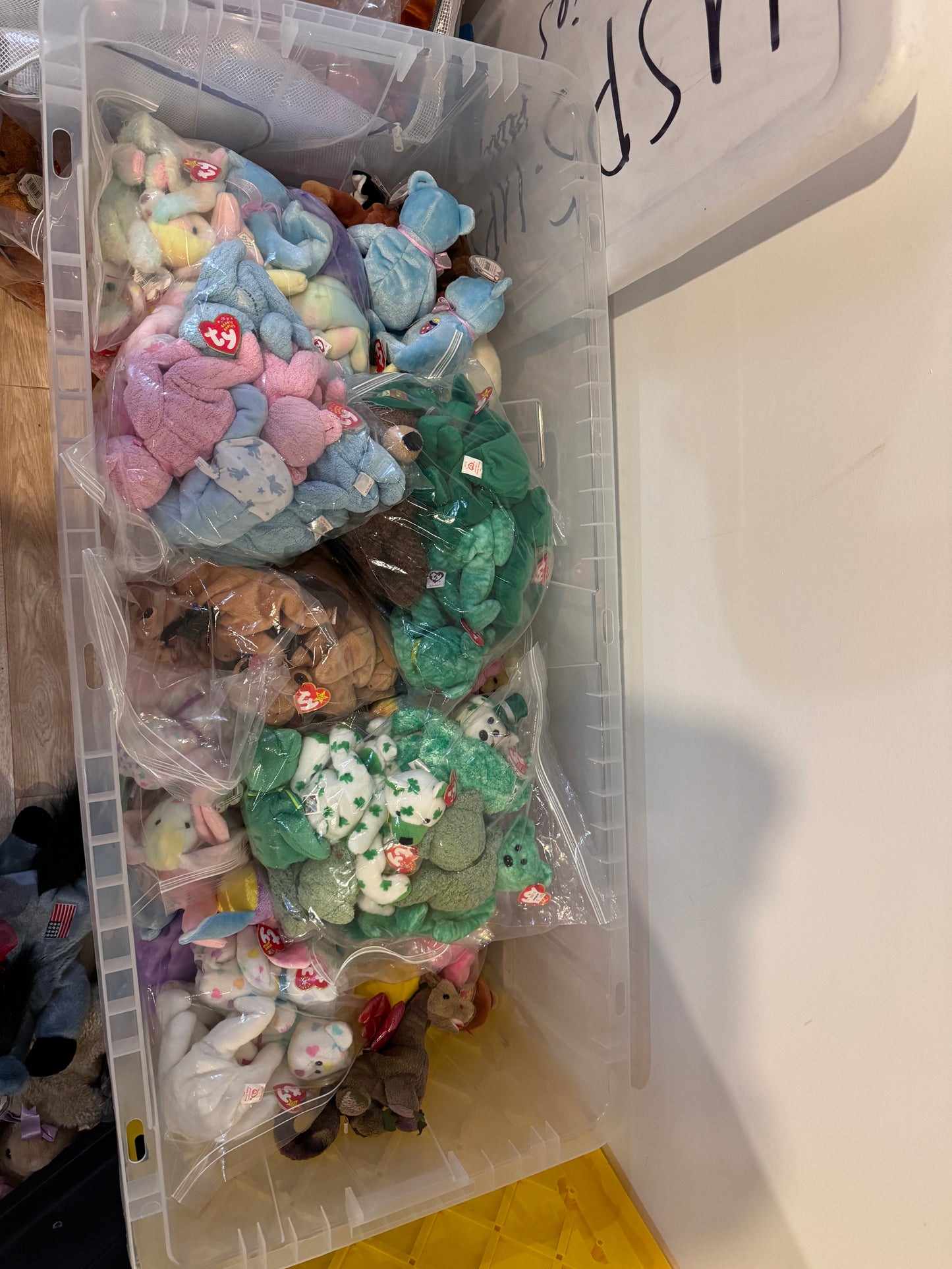 Lot of 100 random beanies