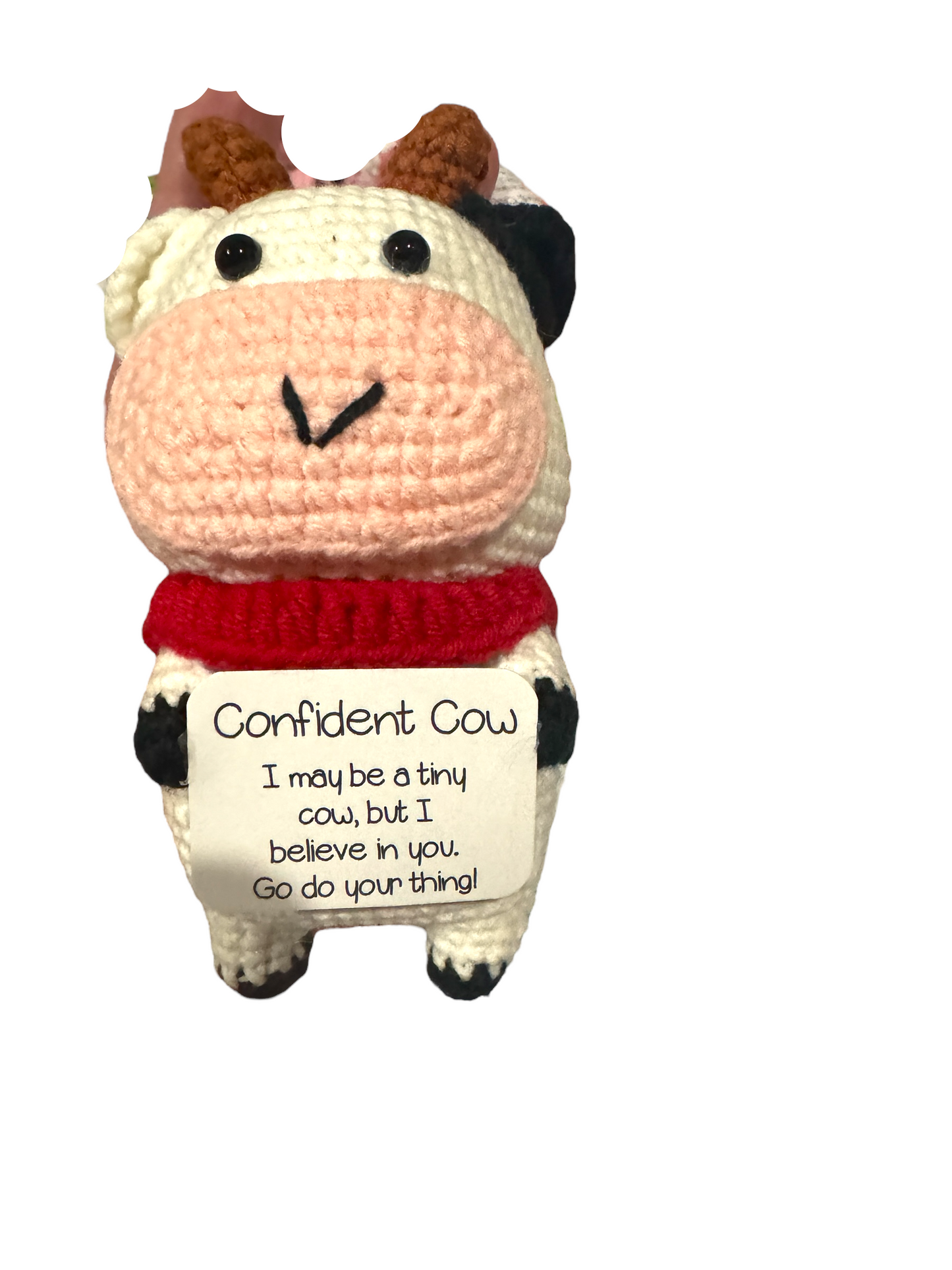 Plush Positive Buddies Small Crochet Dolls