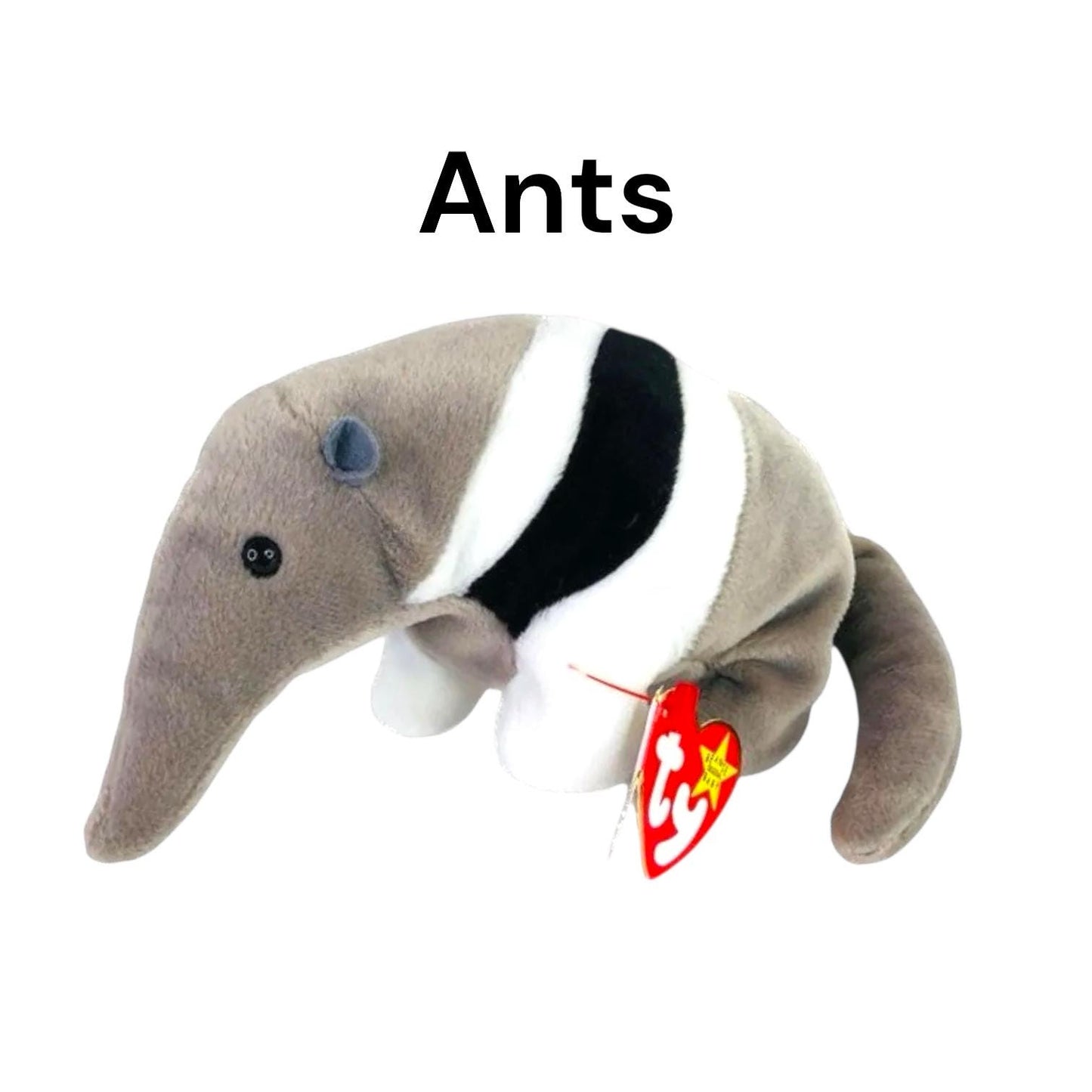 Ty Beanie Babies Grunt, Tank, Spike, Ants, Mel, Bucky, Roam Eucalyptus, Whisper, Goatee