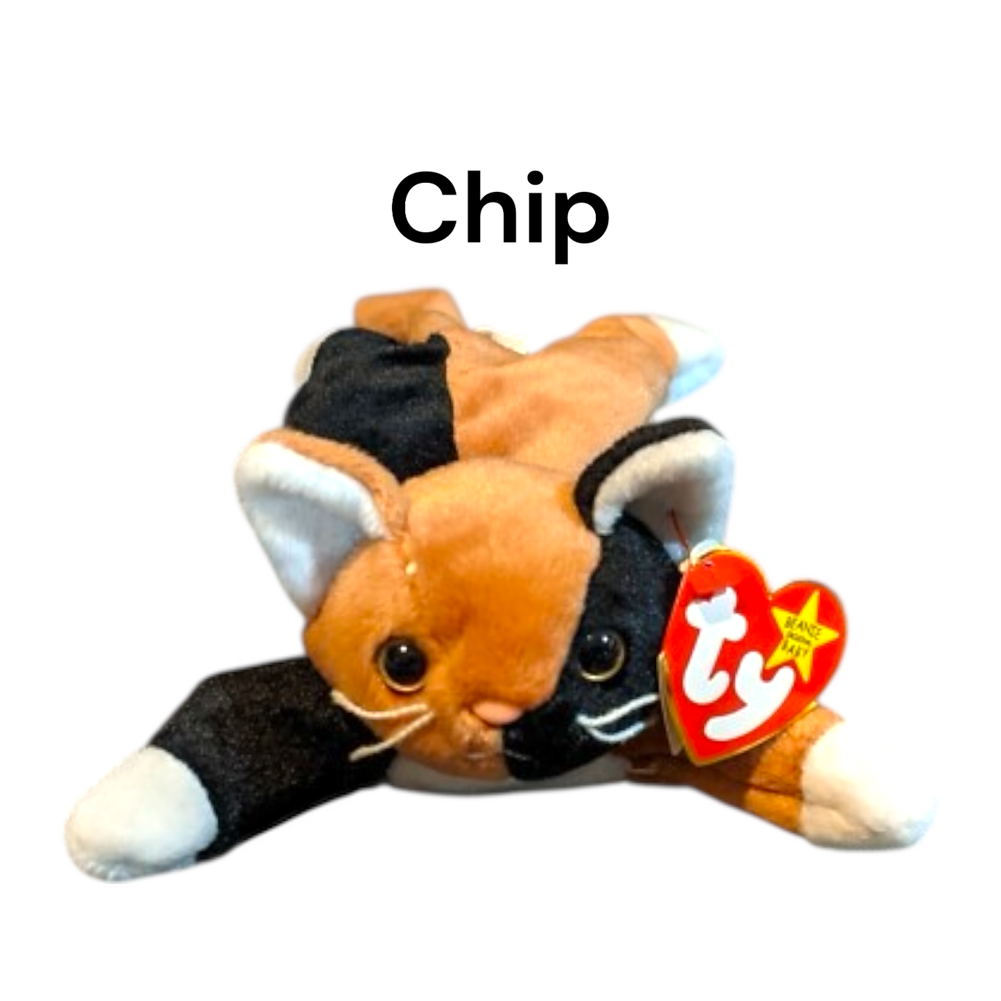 Ty Beanie Babies Most Popular Cats- Zip, Flip, Nip, Chip, Snip, Pounce, Prance