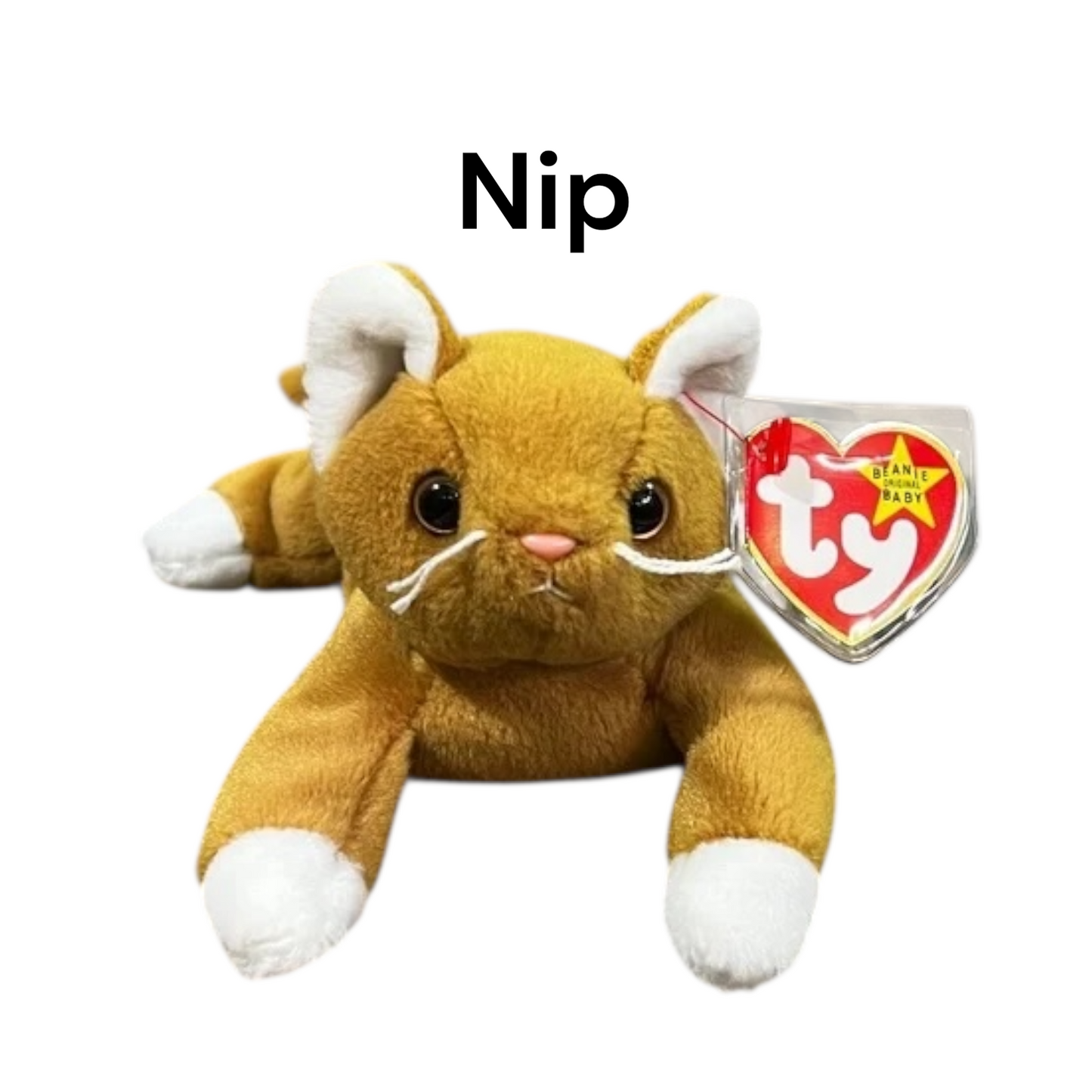 Ty Beanie Babies Most Popular Cats- Zip, Flip, Nip, Chip, Snip, Pounce, Prance