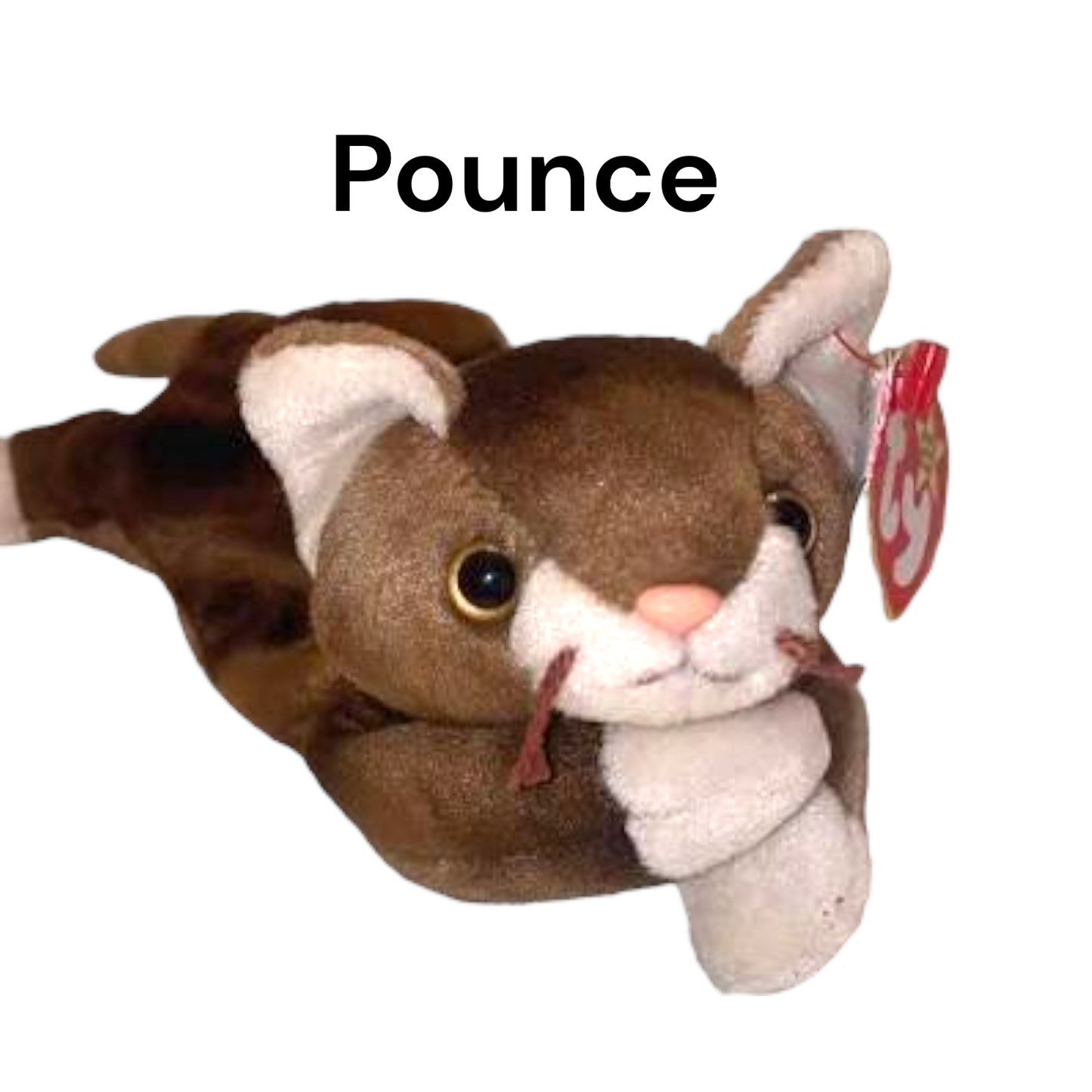 Ty Beanie Babies Most Popular Cats- Zip, Flip, Nip, Chip, Snip, Pounce, Prance