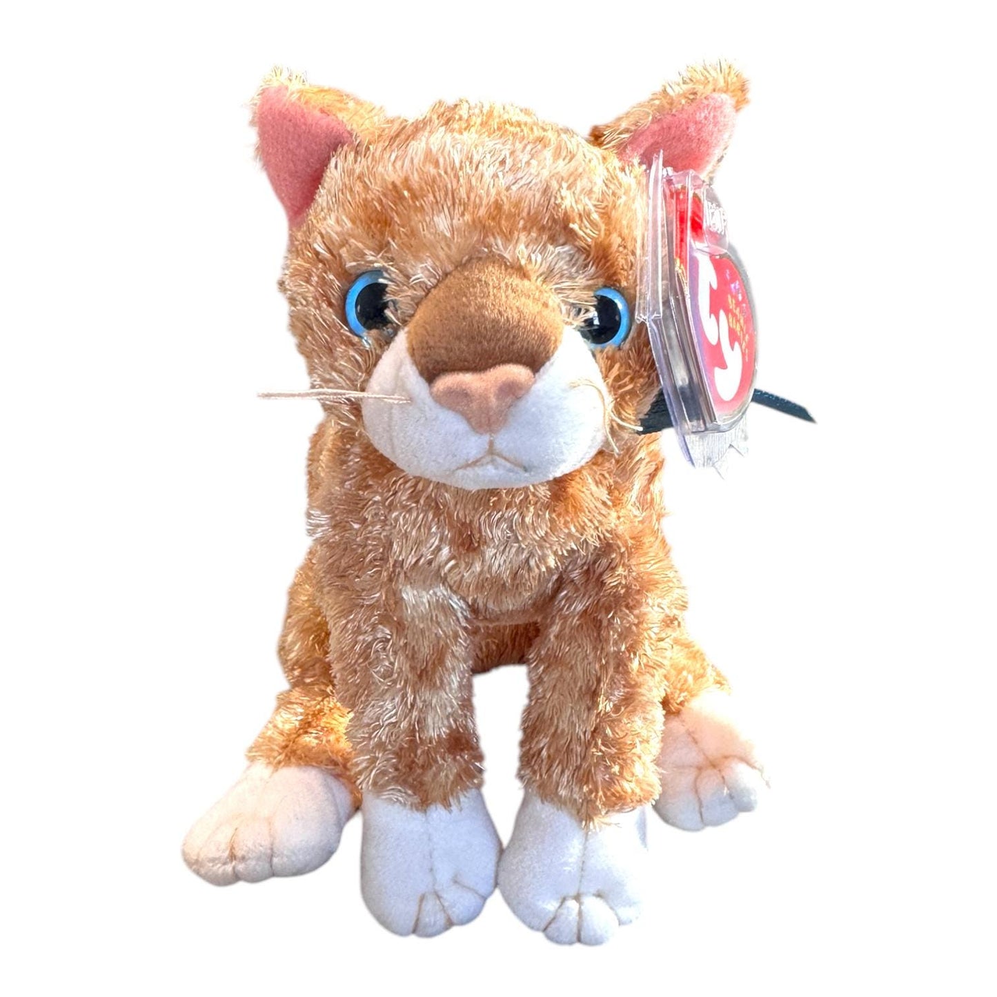 Ty Beanie Babies Cats Fleur Mattie Kooky Kaleidoscope Siam Delilah Jaz Tangles