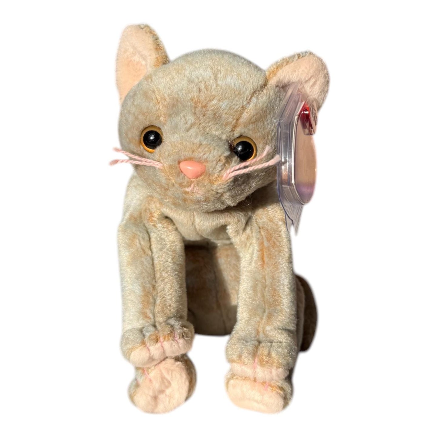 Ty Beanie Babies Cats Amber, Silver, Scat, Fancy, Fussy, Frisco, Fiddler, Carnantion