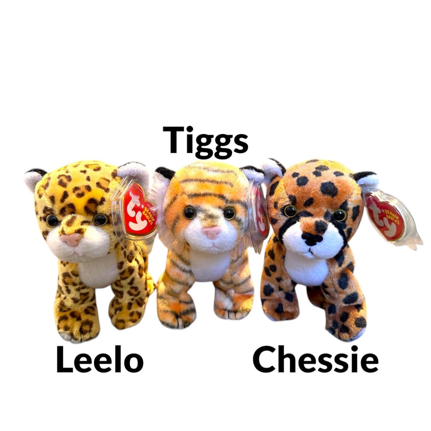 Ty Beanie Babies Big Cats Stripes, Blizzard, Canyon, Leelo, Tiggs, Chessie, Rumba, Midas 2.0, Twilight, Sneaky, India, Pride, Tracks, Bushy