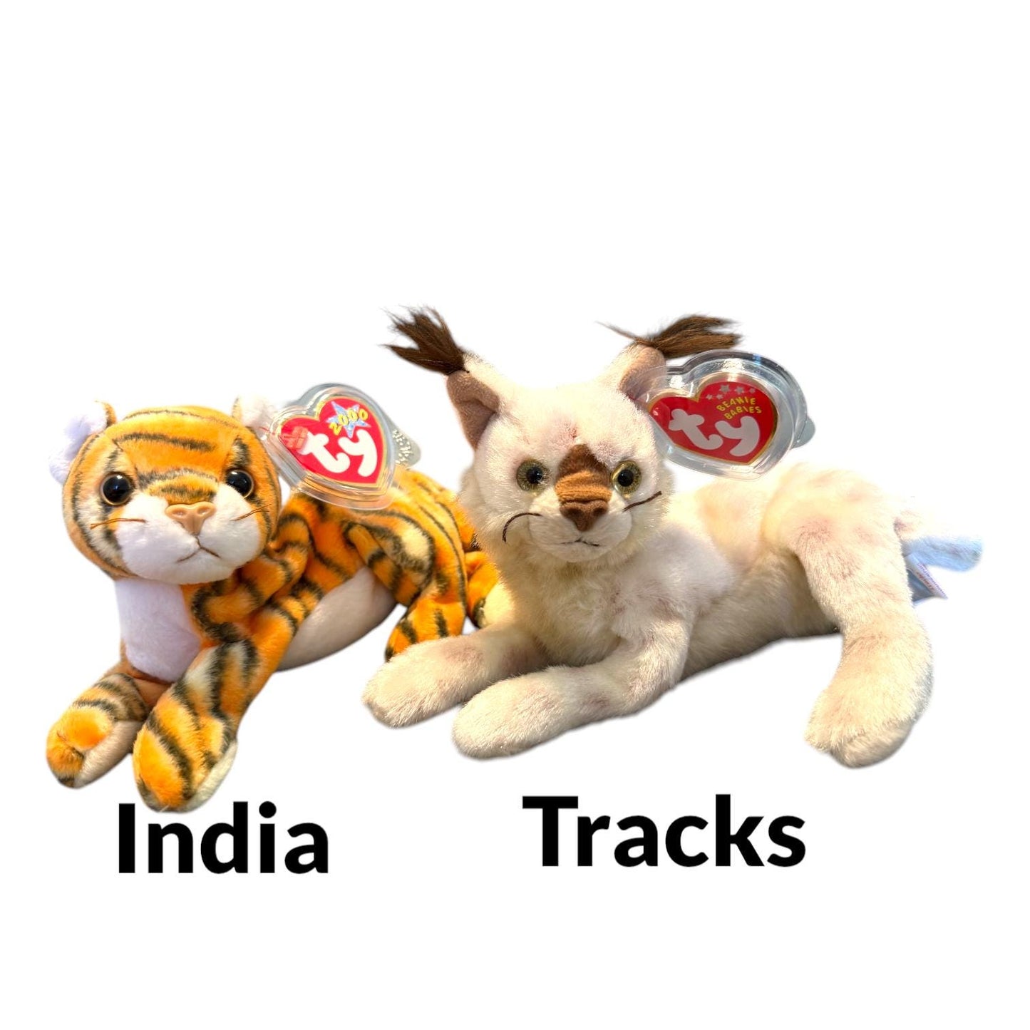 Ty Beanie Babies Big Cats Stripes, Blizzard, Canyon, Leelo, Tiggs, Chessie, Rumba, Midas 2.0, Twilight, Sneaky, India, Pride, Tracks, Bushy