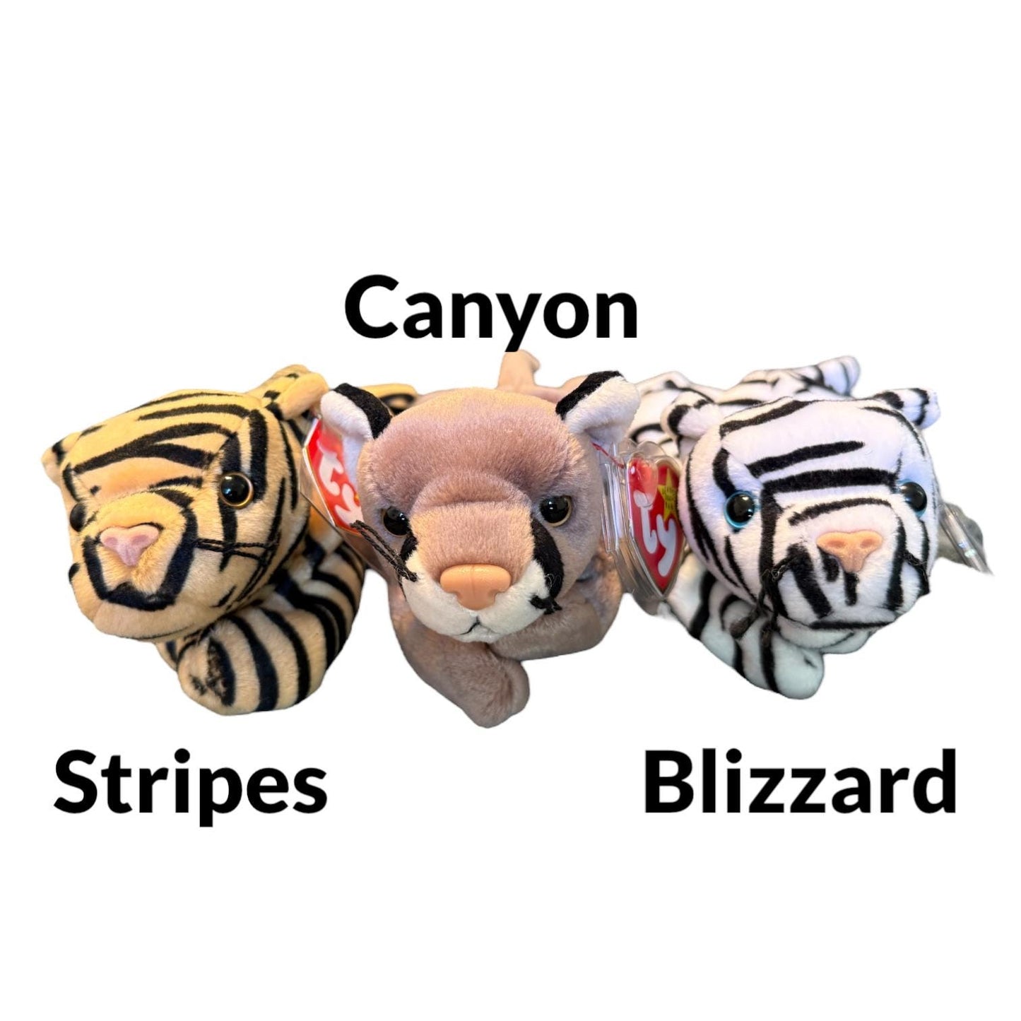 Ty Beanie Babies Big Cats Stripes, Blizzard, Canyon, Leelo, Tiggs, Chessie, Rumba, Midas 2.0, Twilight, Sneaky, India, Pride, Tracks, Bushy