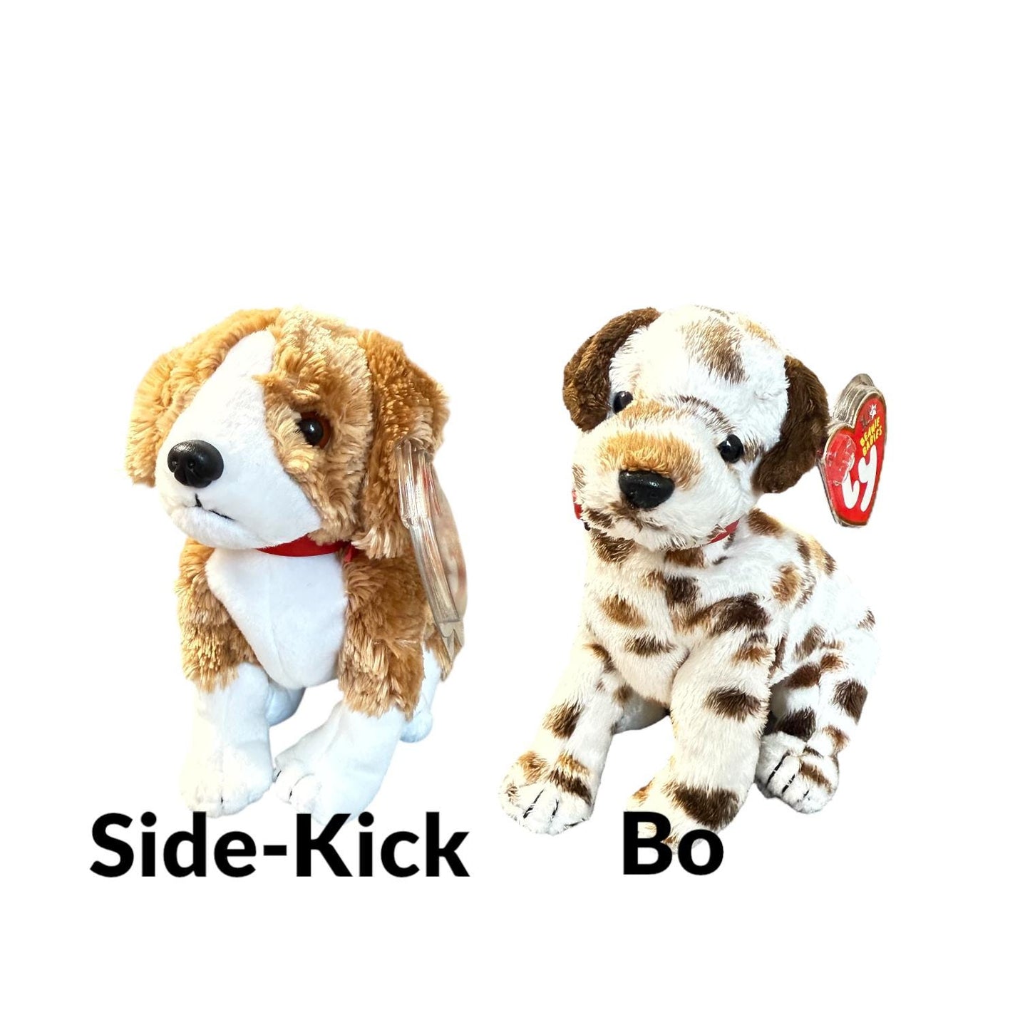 Ty Beanie Babies Dogs Hodge-Podge Smudges Zodiac Dog Poofie Sidekick Whiskers Schnitzel Bo Muddy Seadog Rowdy Juneau Tuffy Boomer Laptop