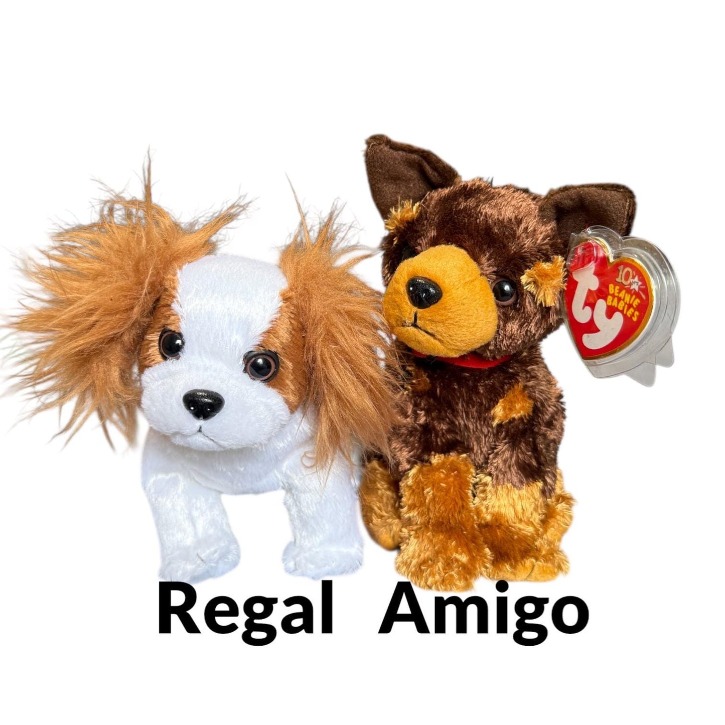Ty Beanie Babies Dogs Poodle’s Ohh-La-La, Demure, Brigitte, L’amore, Kirby, Fidget, Regal, Luke, Amigo, Frisbee, Tiny