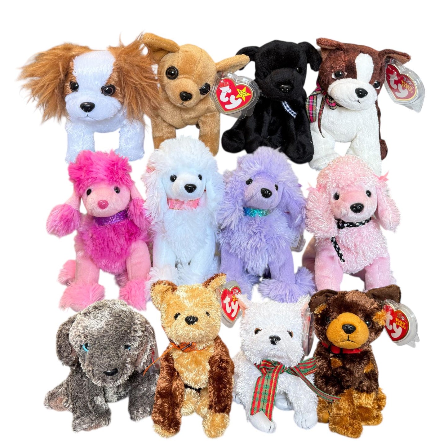 Ty Beanie Babies Dogs Poodle’s Ohh-La-La, Demure, Brigitte, L’amore, Kirby, Fidget, Regal, Luke, Amigo, Frisbee, Tiny