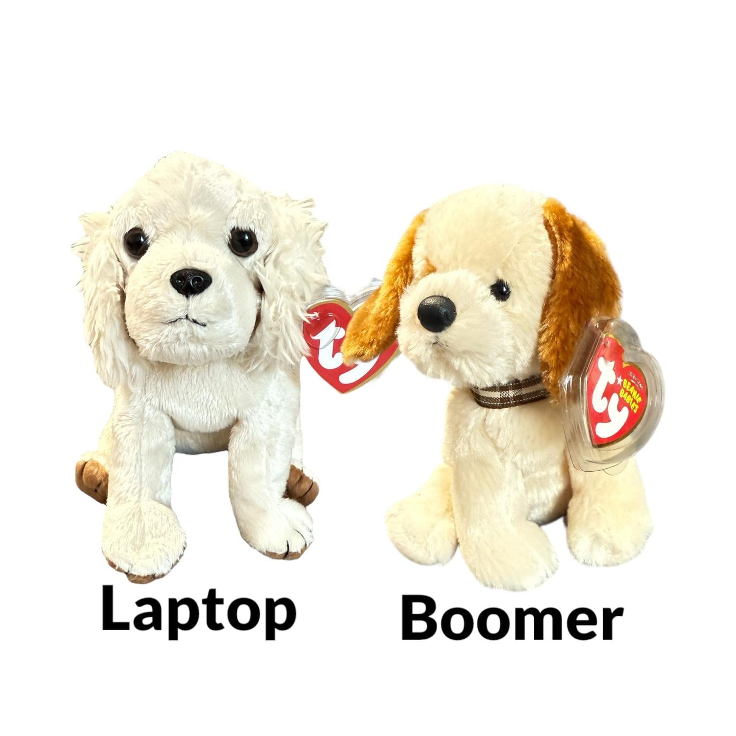Ty Beanie Babies Dogs Hodge-Podge Smudges Zodiac Dog Poofie Sidekick Whiskers Schnitzel Bo Muddy Seadog Rowdy Juneau Tuffy Boomer Laptop