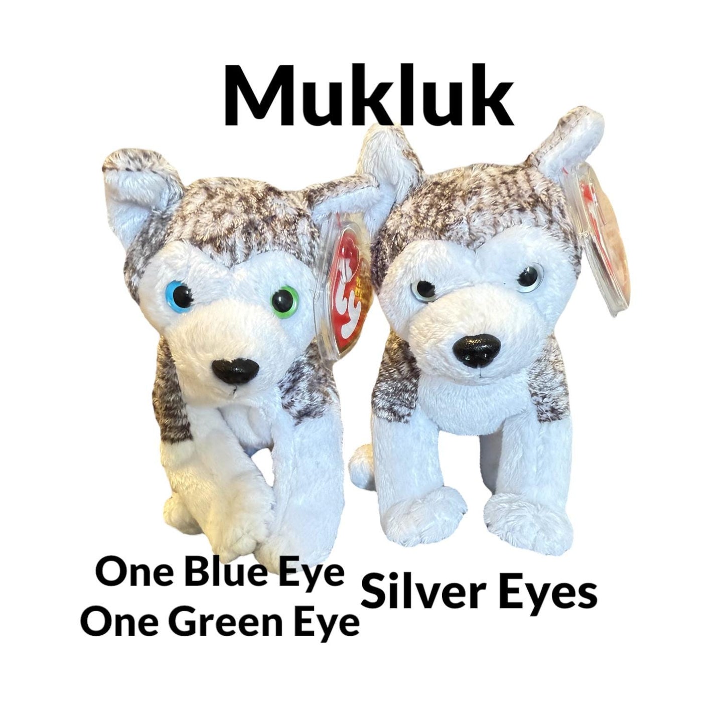 Ty Beanie Babies Dogs Sugarpup, Sarge, Scottie, Gigi, Frolic, Pup In Love, Divalightful, Mukluk, Dizzy, Magic