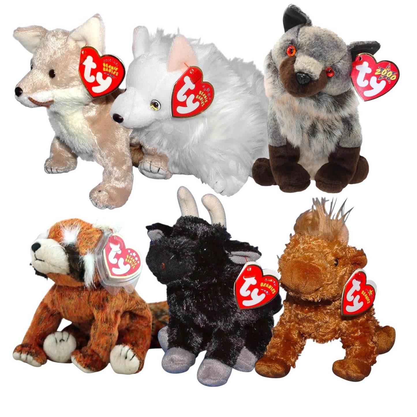 Ty Beanie Babies Rusty, Slick, Ole, Howl, Hamish, Snocap