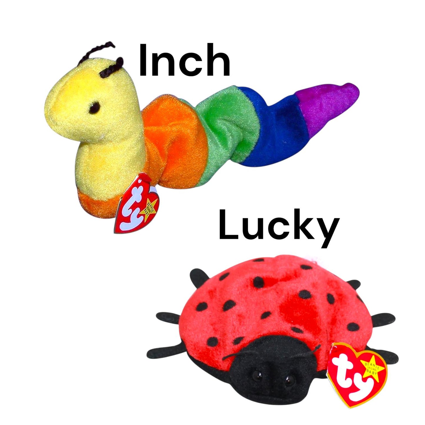 Ty Beanie Babies Bugs Insects Lucky, Inch, Twitterbug, Glow, Countess, Flitter, Float, Stinger, Buzzie, Scurry