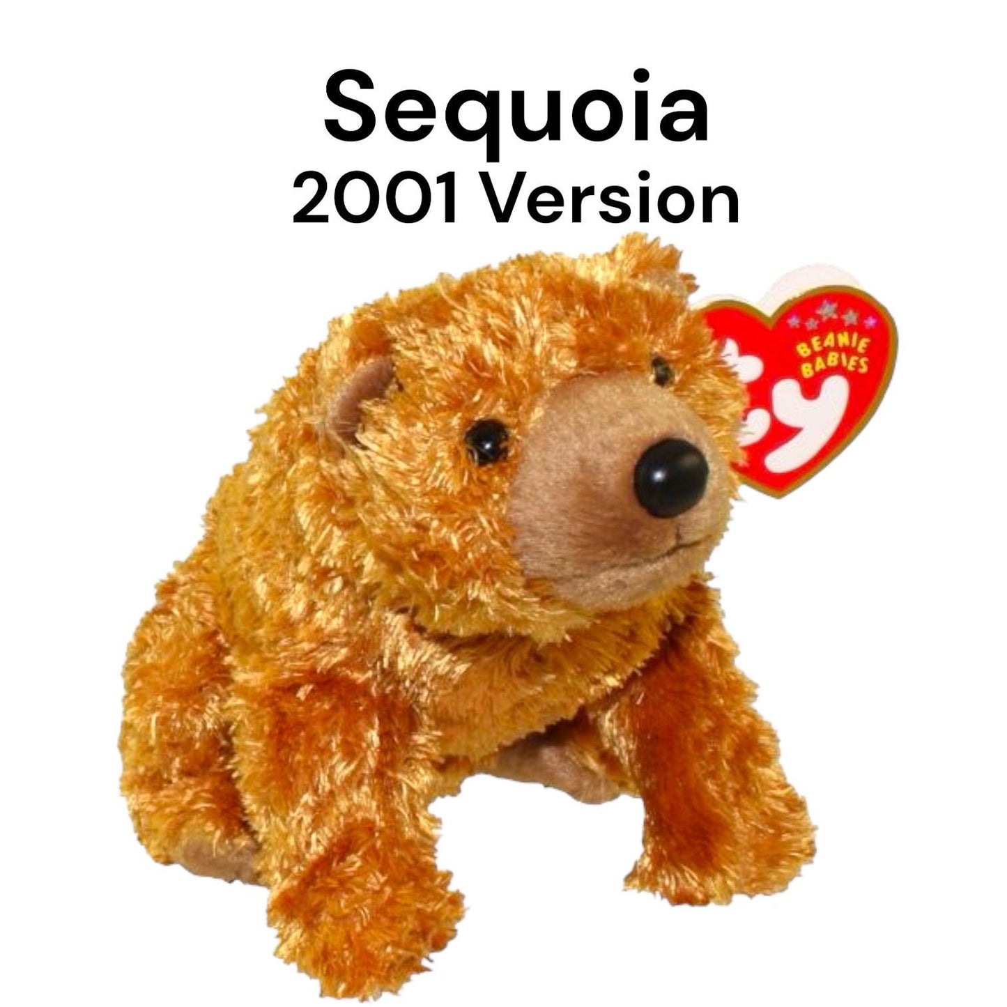 Ty Beanie Babies Black Bears & Brown Bears Logger, Cinders, Pecan, Sequoia, Monarch, Bixby, Kodi, Snacks