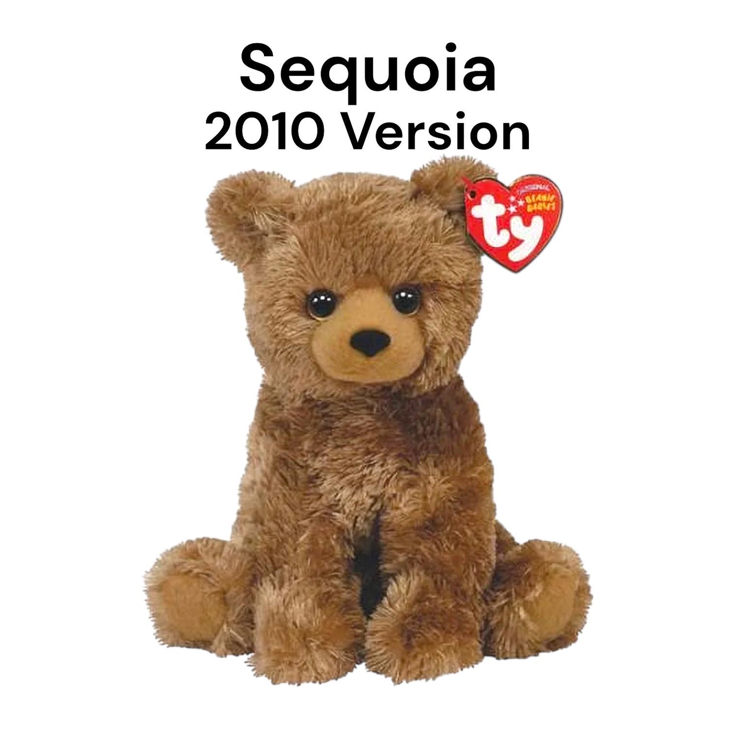 Ty Beanie Babies Black Bears & Brown Bears Logger, Cinders, Pecan, Sequoia, Monarch, Bixby, Kodi, Snacks